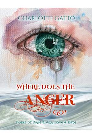 Where Does the Anger Go?: Poems of Rage & Joy, Love & Hate