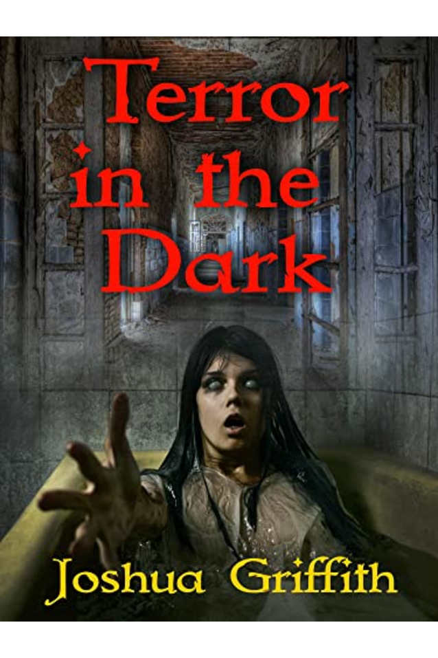 Terror in the Dark : A collection of Supernatural Horror stories