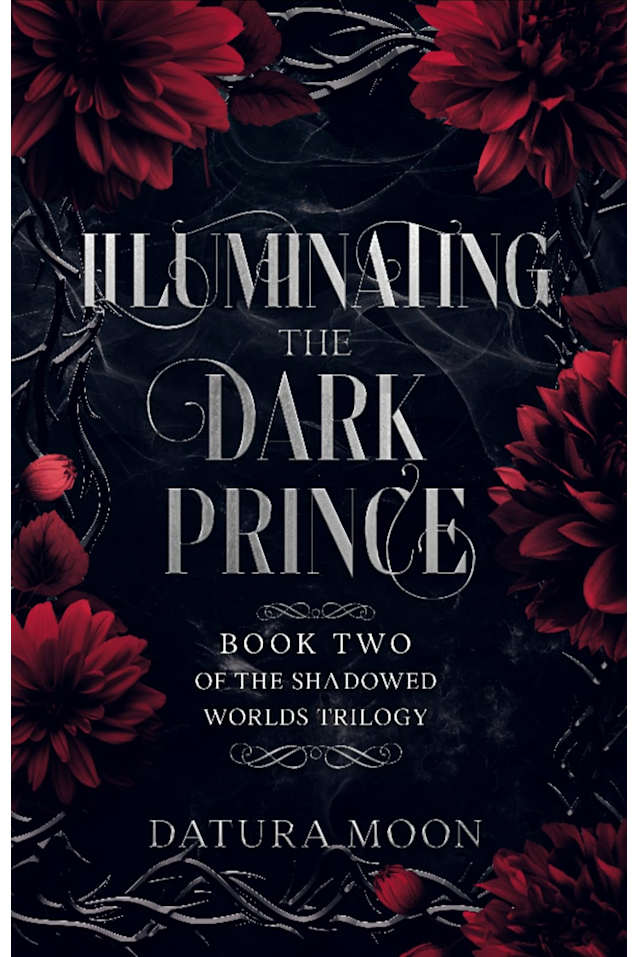 Illuminating The Dark Prince (The Shadowed Worlds Trilogy Book 2)
