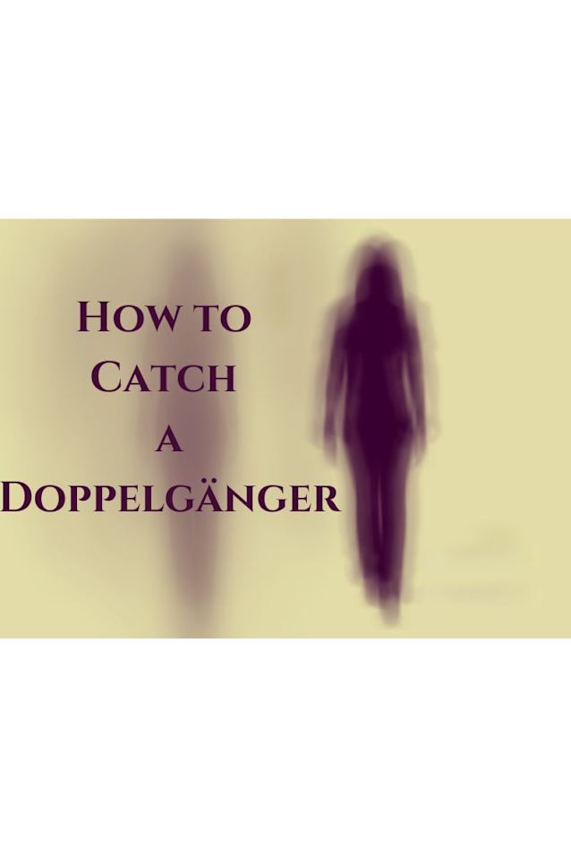 How to Catch a Doppelgänger