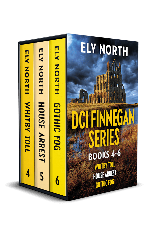 DCI Finnegan Series #2