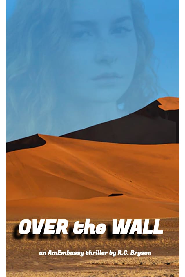 Over the Wall (AmEmbassy Thrillers Book 1)
