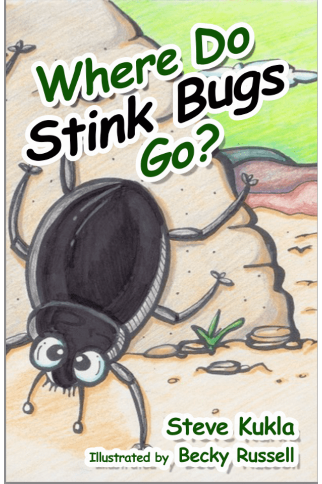 Where Do Stink Bugs Go?