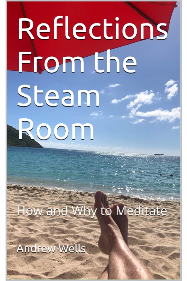 Reflections From the Steam Room : How and Why to Meditate