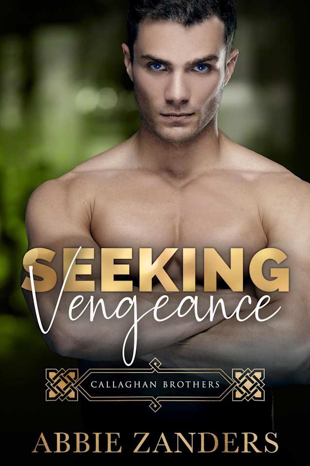 Seeking Vengeance (Callaghan Brothers, #4)