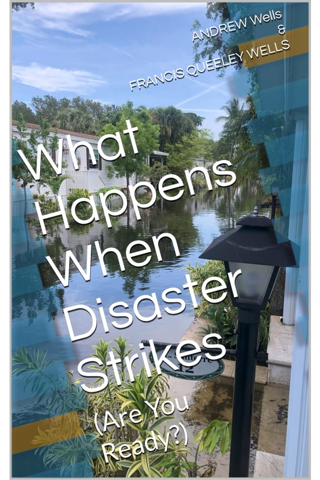 What Happens When Disaster Strikes: (Are You Ready?)