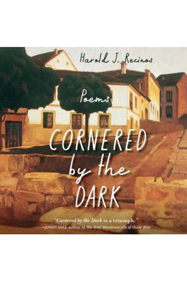 cornered by the Dark (Audio)