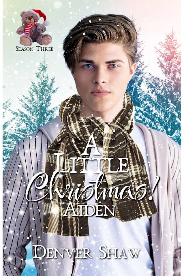 A Little Christmas 3: Aiden: 