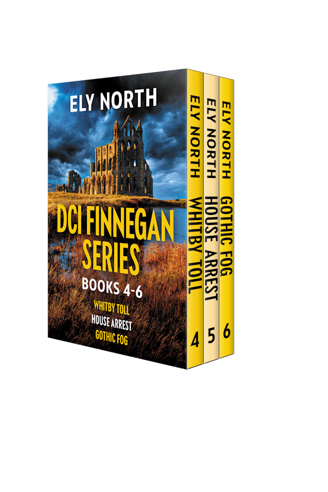 DCI Finnegan Series #2
