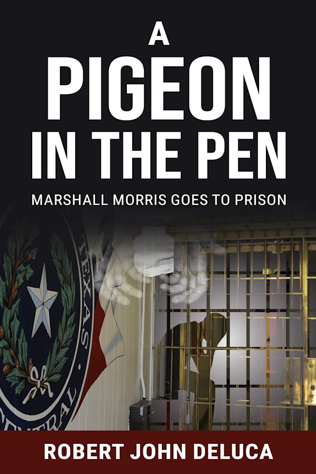 A Pigeon in the Pen