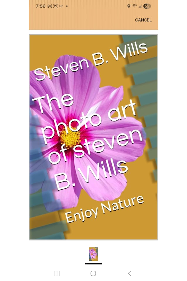 Steven Wills and his nature art 