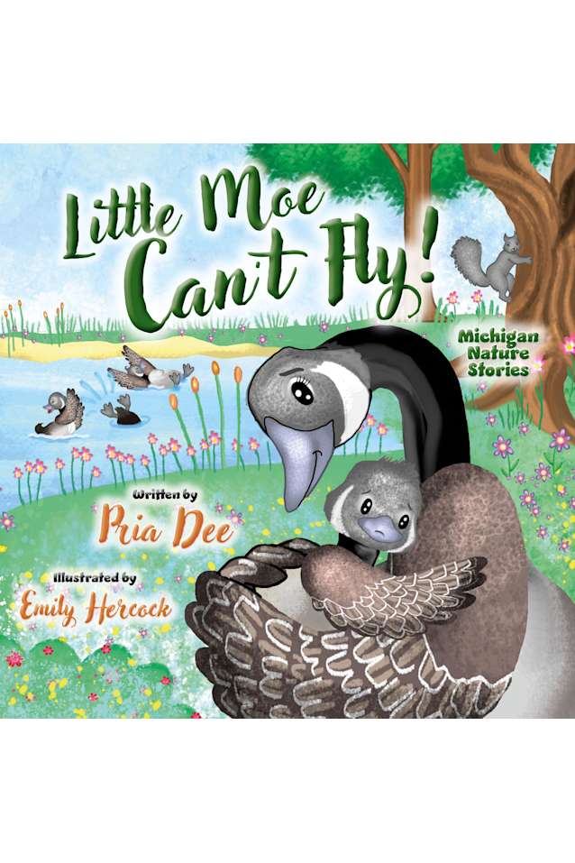 Little Moe Can’t Fly: Michigan Nature Stories; a story of survival and determination