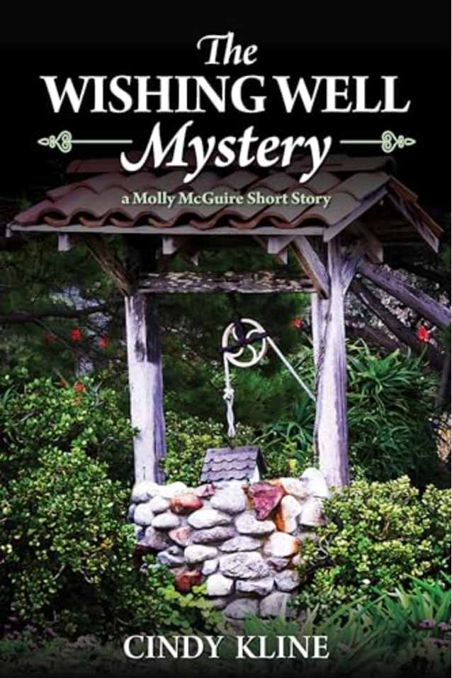The Wishing Well Mystery (Molly McGuire Mysteries Book 7)