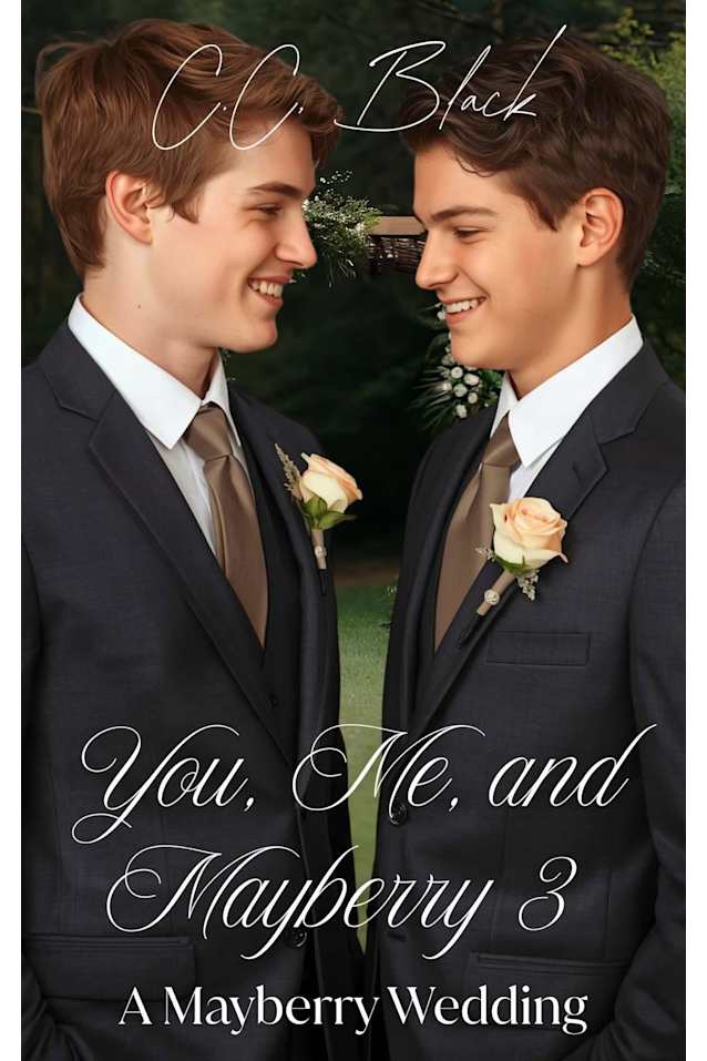 You, Me, and Mayberry 3