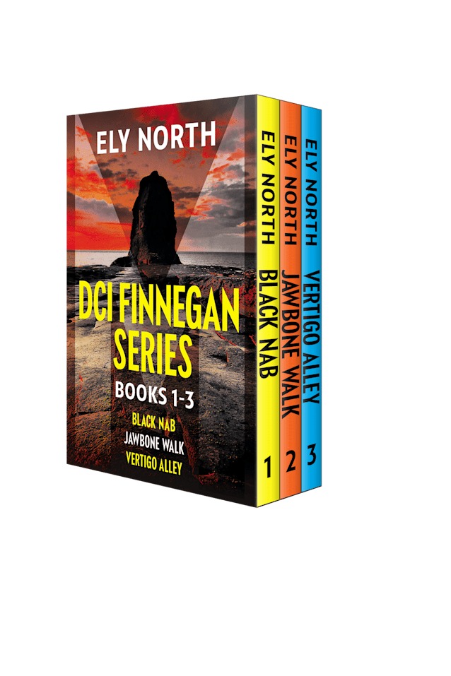 DCI Finnegan Series #1