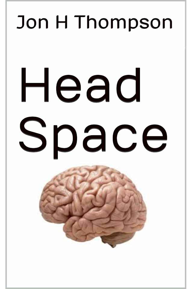 Head Space (the Future mysteries Book 2)