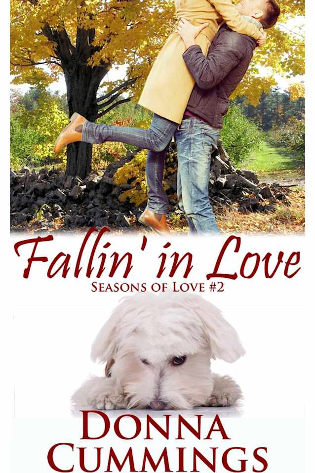 Fallin’ in Love (Seasons of Love)