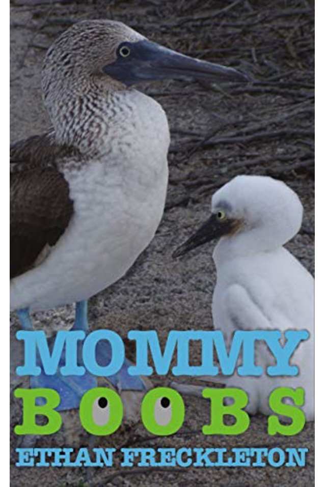 Mommy Boobs: Misadventures in New Age Parenting