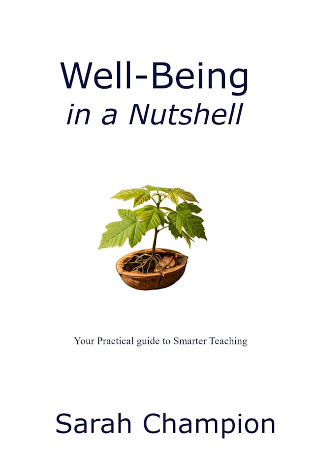 Well-Being in a Nutshell (Teaching in a Nutshell)
