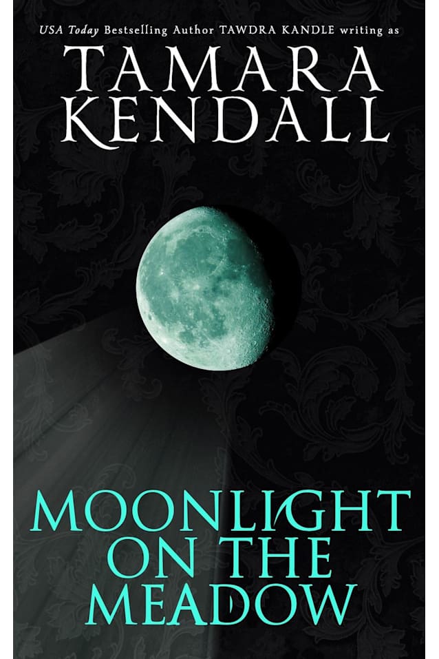 Moonlight on the Meadow 