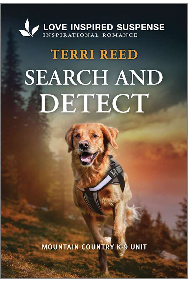 Search and Detect