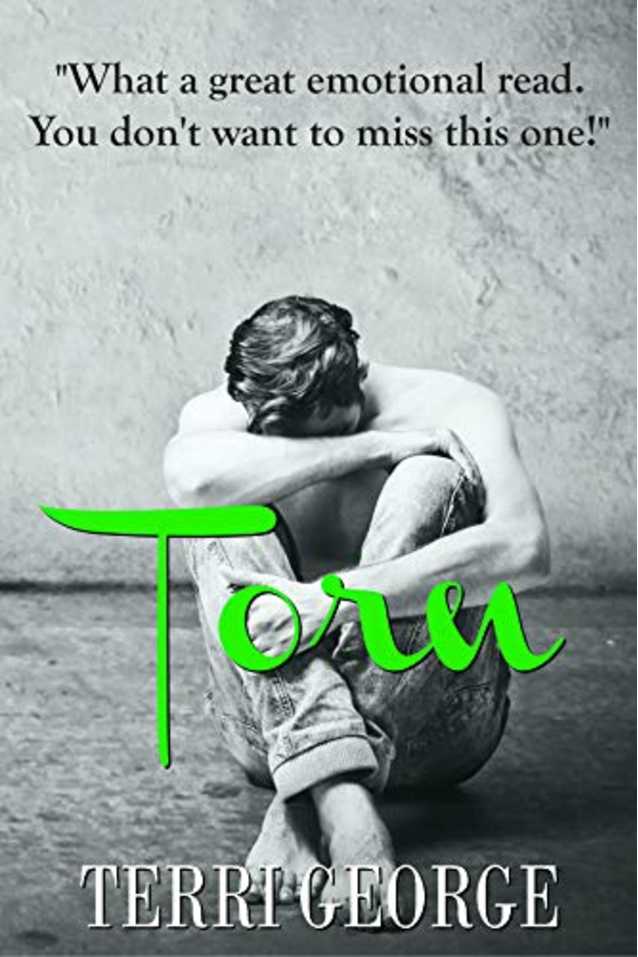 TORN: Frost Trilogy Spin-Off
