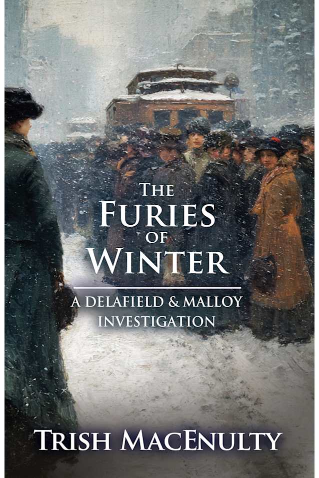 The Furies of Winter: A gripping women’s historical mystery (A Delafield & Malloy Investigation Book 6)