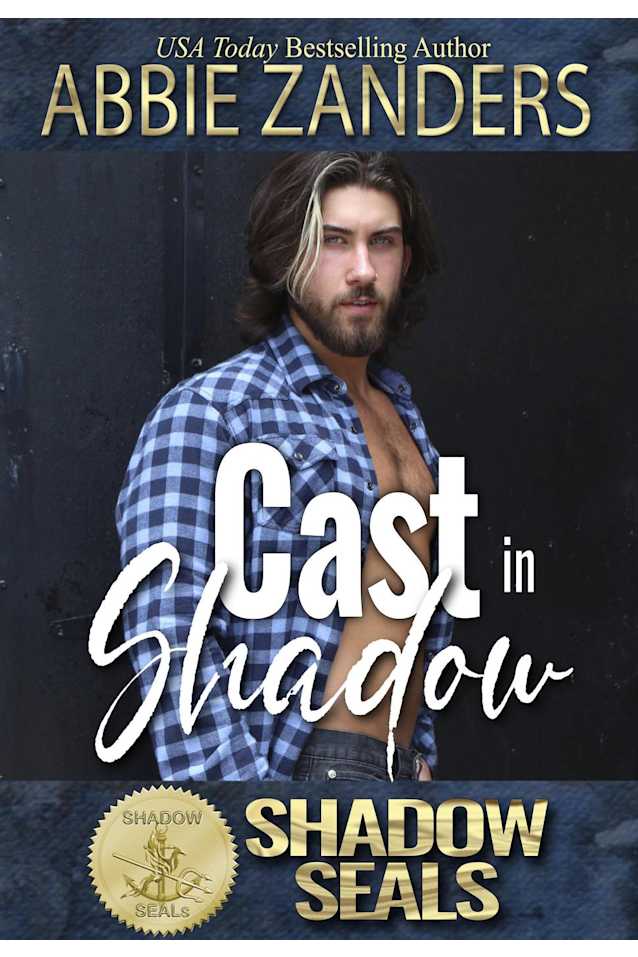 Cast in Shadow (Shadow SEALs, #10)