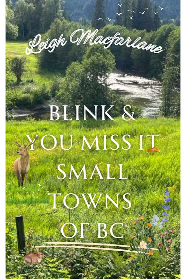 Blink & You Miss It Small Towns of BC