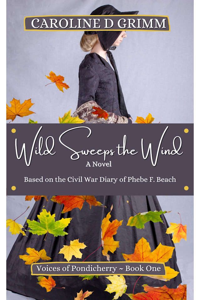 Wild Sweeps the Wind: The Civil War Diary of Phebe F. Beach (Voices of Pondicherry Book 1)