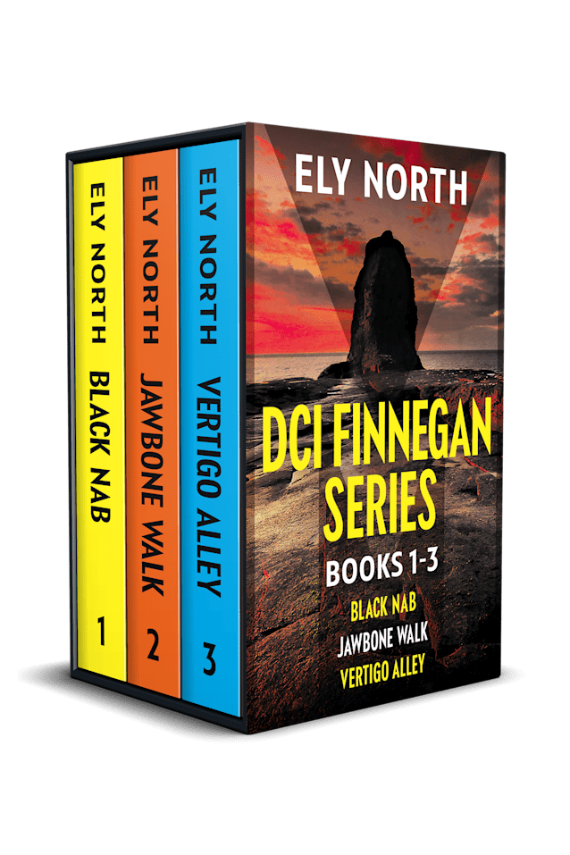 DCI Finnegan Series #1