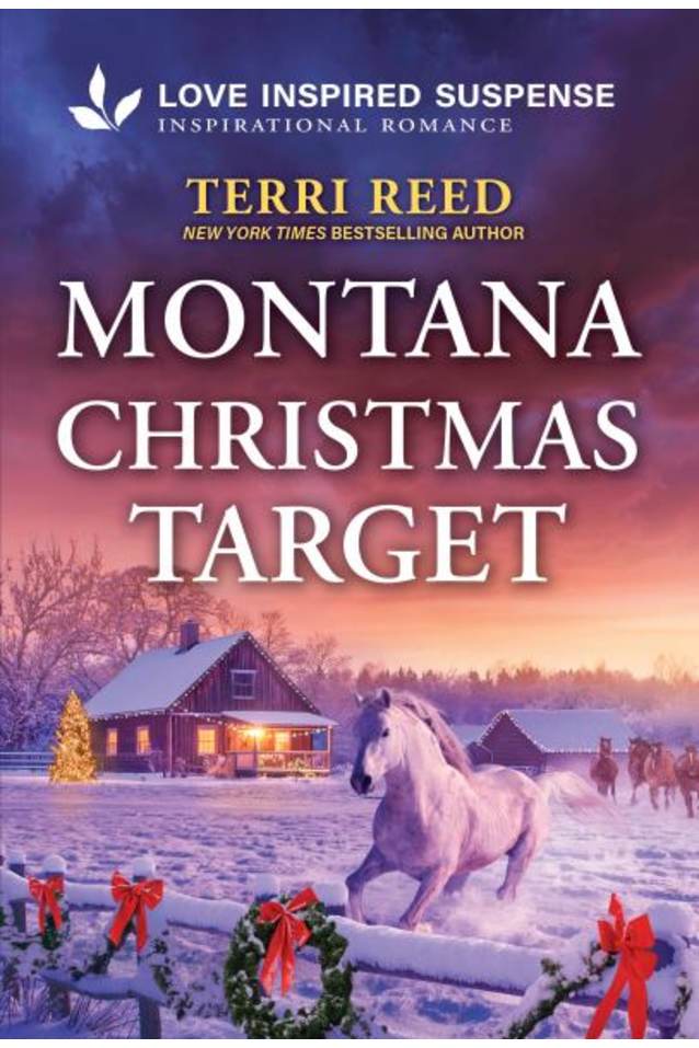 Montana Christmas Target