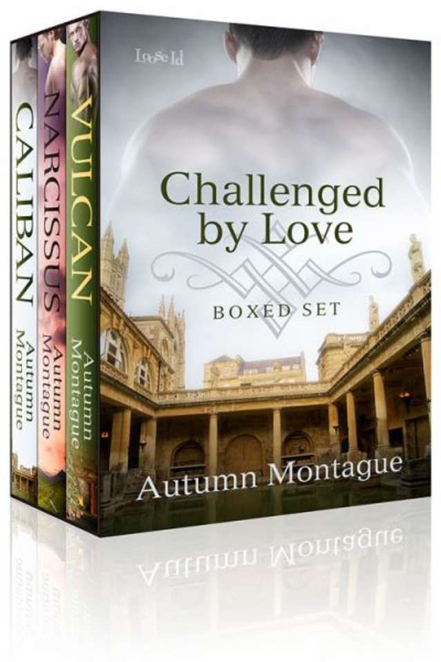 Challenged by Love e-Boxed Set