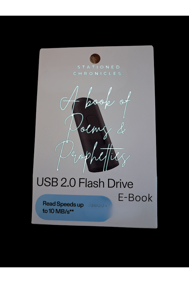 Digital flash drive E-Books and Audiobooks from RobSway Publishing 