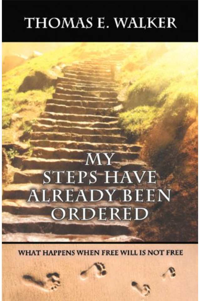 My Steps Have Already Been Ordered - What happens when free will is not free.