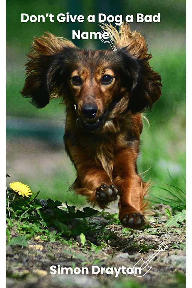 Don’t Give a Dog a Bad Name