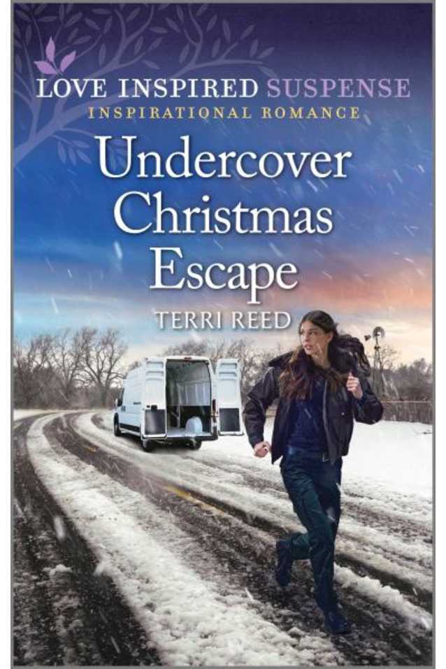 Undercover Christmas Escape