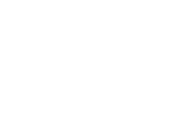 Terry L. Harmon