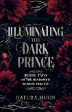 Illuminating The Dark Prince (The Shadowed Worlds Trilogy Book 2)