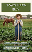 Town Farm Boy (Tales of Pondicherry)
