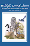 Wildlife’s Second Chance