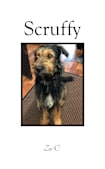 Scruffy