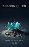 Shadow Queen (The Salt and the Sun, #1)