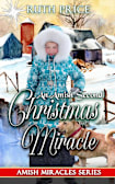 An Amish Second Christmas Miracle (Amish Miracles Series, #1)
