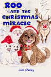 Roo and the Christmas Miracle