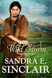 Wild Storm (The Unbridled  Series, #2)