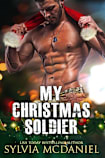 Her Christmas Lie (Military Romance) (Racy Reunions Book 2)