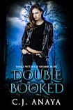 Double Booked
