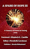 A SPARK OF HOPE III