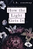 How the Light Gets In